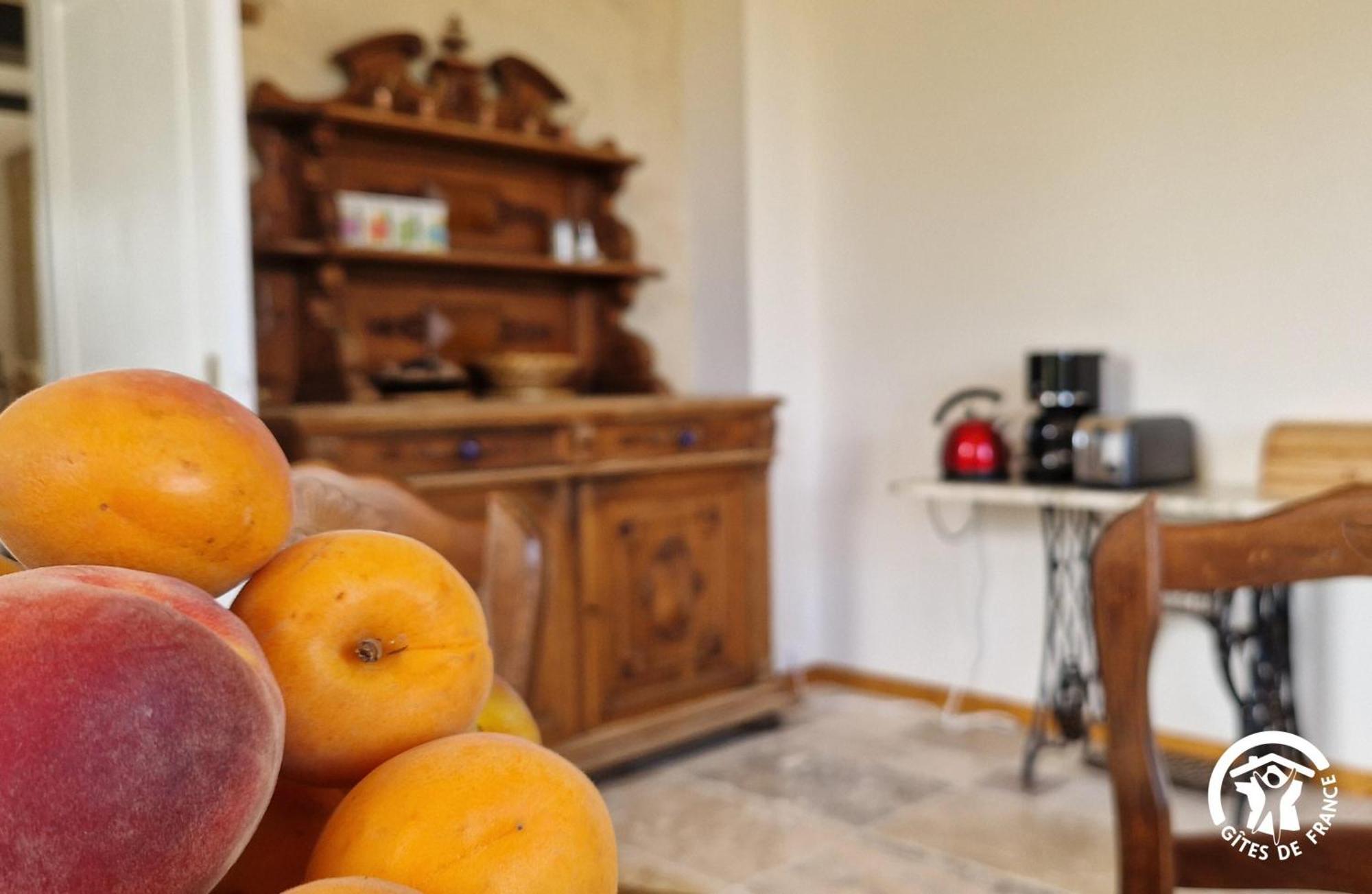 Aux Roses De Cedres Chambre Savane Salvagnac Zewnętrze zdjęcie