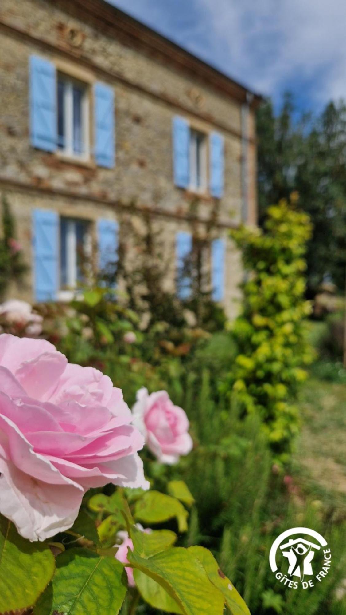 Aux Roses De Cedres Chambre Savane Salvagnac Zewnętrze zdjęcie