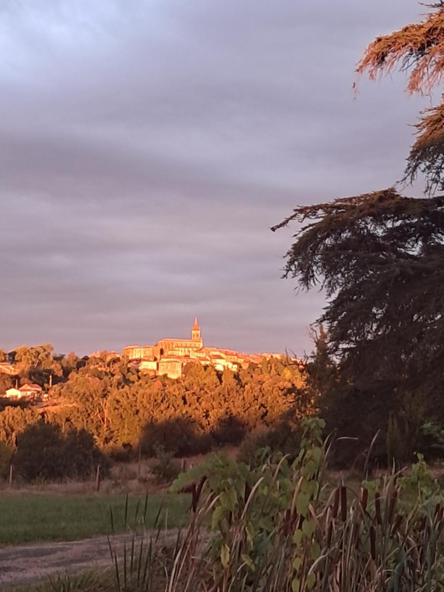 Aux Roses De Cedres Chambre Savane Salvagnac Zewnętrze zdjęcie